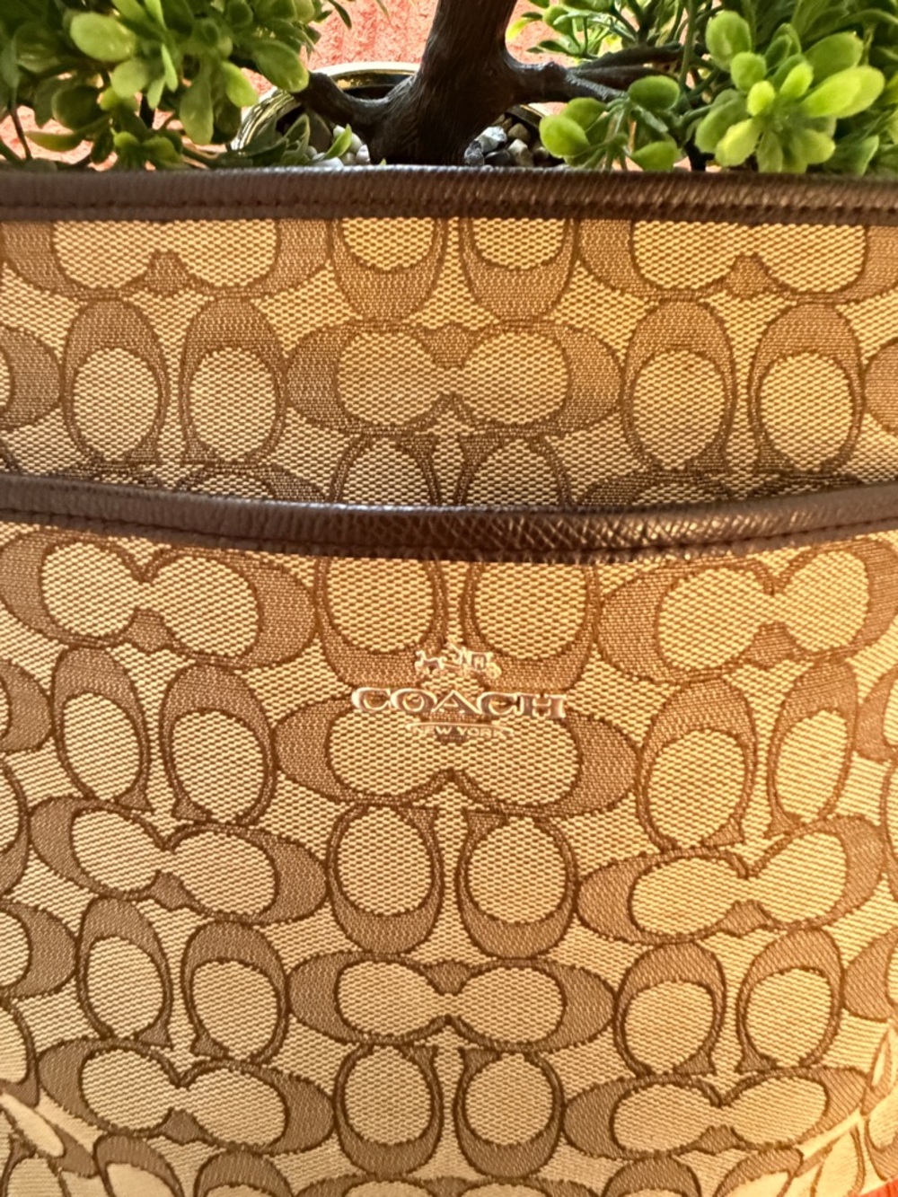 Coach Beige Signature Canvas Crossbody with Brown Trim - Picture 11 of 16